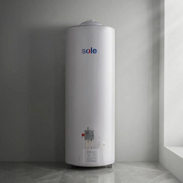 ProHogar 4 Termotanque Sole GN Tipo A 110L